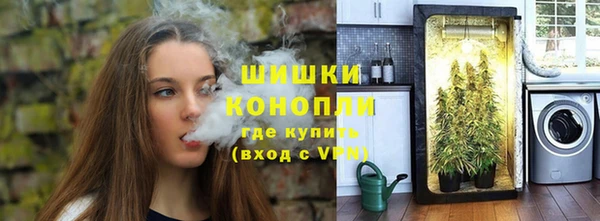 крисы Белоозёрский