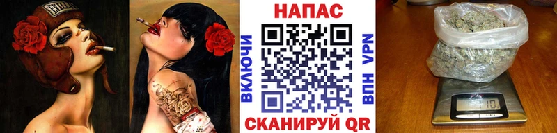 Бошки Шишки гибрид  цены   ссылка на мегу tor  Горняк 